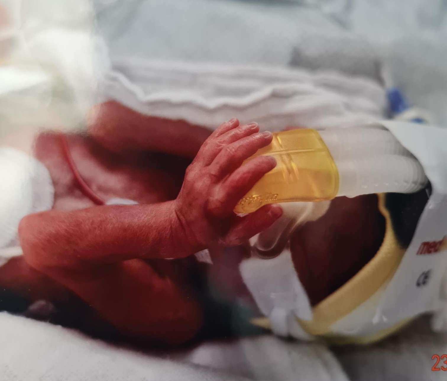Unsere kleine Löwin